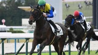 【共同通信杯出走馬・騎手確定】ネブラディスク＆武豊騎手、レッドキングリー＆北村宏司騎手など9頭