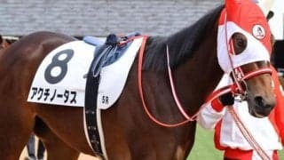 矢作厩舎ゆかりの良血馬 春の大舞台目指して負けられない2戦目