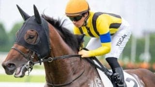 全姉は名牝ソウルスターリング 良血馬が土曜・箱根特別で3連勝狙う