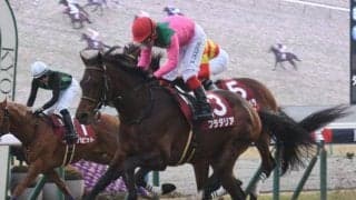 ディープインパクト産駒16年連続JRA重賞制覇へ 京都記念に実力馬2頭が参戦
