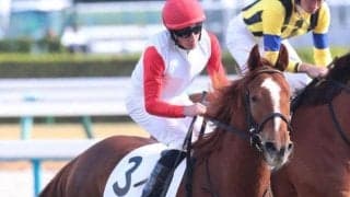 クイーンC母娘制覇へ オークス馬ダイワエルシエーロの仔が重賞初挑戦