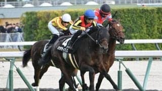 【共同通信杯枠順確定】カラマティアノスは4枠4番、ネブラディスクは5枠5番