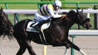 雨予報の京都記念 道悪で浮上する6歳牡馬に注目！