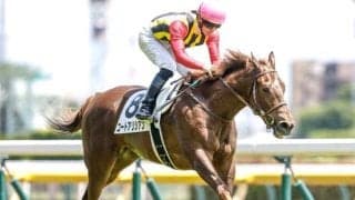 【クイーンC予想】圧倒的良績を残すノーザンファーム生産馬！ 社台ファーム生産馬に求められる好走条件とは