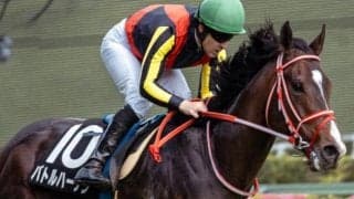 ラヴズオンリーユー、リアルスティールらの半弟 OP入り目指し雲雀Sに参戦