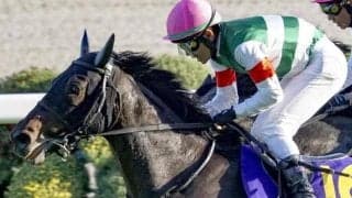 【ダイヤモンドS想定馬・騎手】ヘデントール、ワープスピードなど19頭