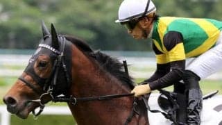 3.6億円ディープインパクト産駒 キャリア21戦目での重賞初挑戦初制覇なるか