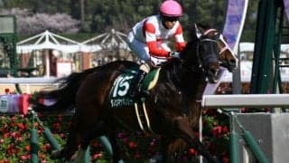 【阪急杯想定馬・騎手】ダノンマッキンリー、ソーダズリングなど18頭