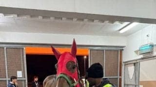 イグナイターがサウジアラビアに到着