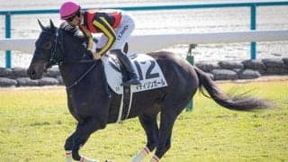 【今日の注目ポイント】東京で3歳牝馬のクイーンCと小倉で小倉ジャンプS