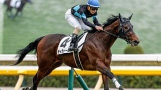 【クイーンC予想】牝馬三冠への登竜門 スピードだけでなくタフさも求められる