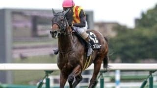 【小倉JS予想】11回の障害飛越やバンケットなど 先行力不可欠な難コース