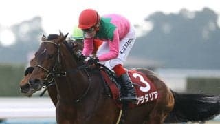 【競馬予想】京都記念はチェルヴィニアで本当にテッパンか？　渋化馬場で浮上する伏兵に要注意