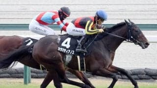 【競馬予想】共同通信杯で注目は「２、３歳戦に強い牝系」　牡馬クラシックへの足掛かりをつかむのは？