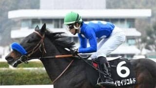 【あすなろ賞結果】タイセイリコルドが差し切り快勝