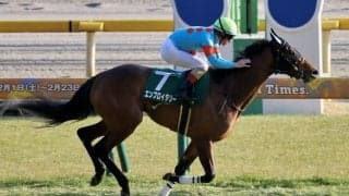 【クイーンC】エンブロイダリーが重賞初制覇…マディソンガールは伸び切れず