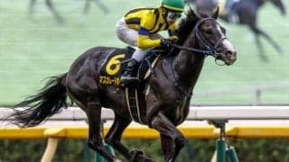 【共同通信杯予想】前走4角での位置取りに注意！ ペースが遅くなる最たる理由とは