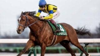 【京都記念予想】高回収率を残す関西馬は人気薄でも期待大！ 劣勢の関東馬は前走での人気が運命を左右する