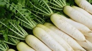 大根の驚くべき効果効能