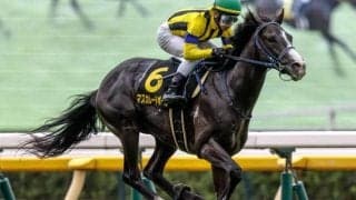 【共同通信杯前日オッズ】マスカレードボールが3.9倍で1番人気