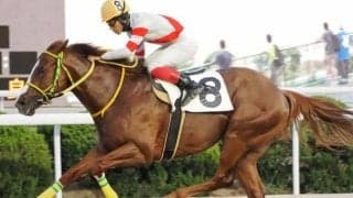 佐賀で5戦5勝 ポークテソーロが注目の中央デビュー戦だ