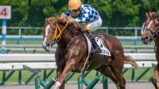 共同通信杯はスロー必至 ワンモアスマイルの逃げ粘りがないか