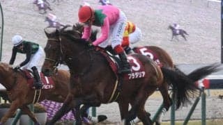 【AI予想・京都記念】京都芝2200mの実績は十分！ 得意の舞台でGI馬を迎え撃つ人工知能の本命馬とは