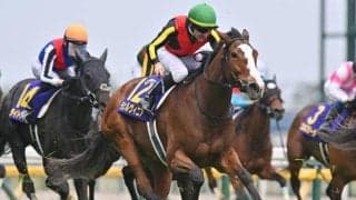 【今日の注目ポイント】チェルヴィニア始動の京都記念と登竜門・共同通信杯