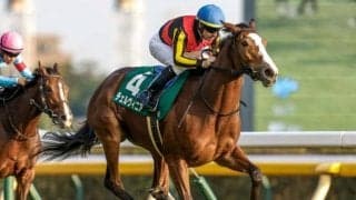 【京都記念予想】国内外の大舞台を視界に入れる実績馬が集結