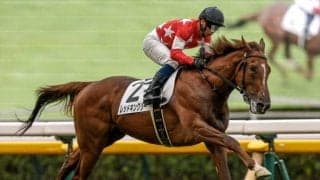 【共同通信杯予想】クラシック直結の出世レース 昨年勝ち馬ジャスティンミラノは無敗で皐月賞馬に