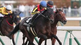 【競馬予想】１番人気が勝てない共同通信杯　代わって浮上するのは過去の激走パターンにハマる３頭
