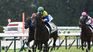 今年も前走新馬戦からの一発ある？ 過去データから探るGIII共同通信杯