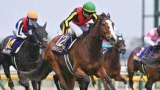 【京都記念・馬体重】チェルヴィニアは500kg(+6)、プラダリアは474kg(+4)