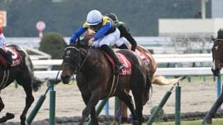 【JRA・WIN5】本日のWIN5は的中30票、配当2342万430円