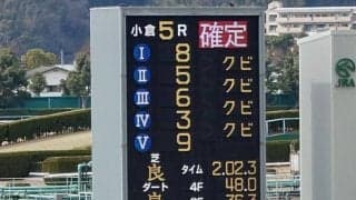 【小倉5R】5着までクビ差の大激戦！オーシンエスが押し切る