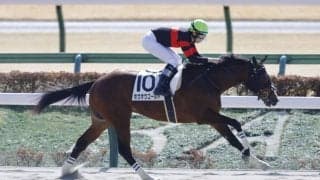 【新馬/東京3R】ホウオウゴールドが5馬身差の圧勝