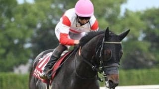 【阪急杯】ダノンマッキンリー、ソーダズリングらが登録