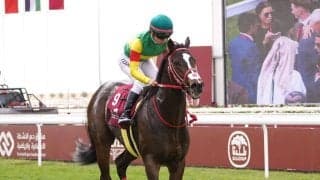 【海外競馬】団野騎乗エコロジークは着外…アミールスウォードフェスティバル