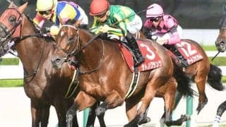 【カタール・アミールT】サトノグランツは昨年に続いて3着 レベルスロマンスが連覇