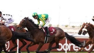 【海外競馬】日本のサトノグランツは今年も3着…アミールスウォードフェスティバル