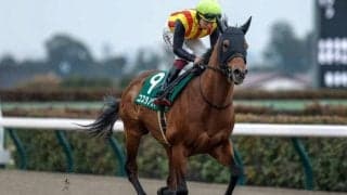 ダートのマイル王決定戦フェブラリーSなど4重賞/今週の競馬界の見どころ