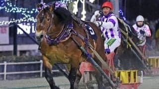 【ばんえい・チャンピオンC】メムロボブサップが重賞22勝目…阿部「良く踏ん張った」