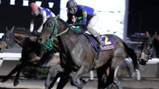 【高知・だるま夕日賞】9番人気ティアップエックスがVで波乱…ユメノホノオは2着