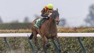 【フェブラリーS登録馬】コスタノヴァなど23頭…今年最初のJRA・G1