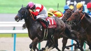 【阪急杯登録馬】ダノンマッキンリーなど20頭