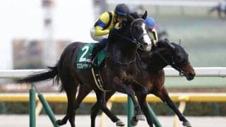 WIN5は2300万円超の払戻し…共同通信杯はマスカレードボールが快勝