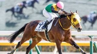 【ダイヤモンドS見どころ】好相性の東京で巻き返すワープスピード