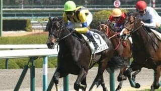 【阪急杯見どころ】決め手鋭いソーダズリングに期待