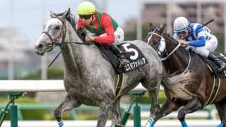 【小倉大賞典見どころ】昇級戦でもコスモブッドレアの渋太さに期待