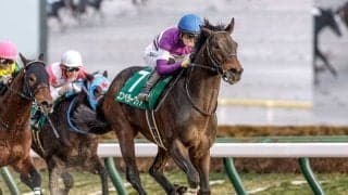 【フェブラリーS見どころ】GI初挑戦でもエンペラーワケアの成長力に期待